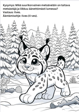 Lataa kuva Galleria-katseluun, Lasten värityskirja - Metsäneläimet